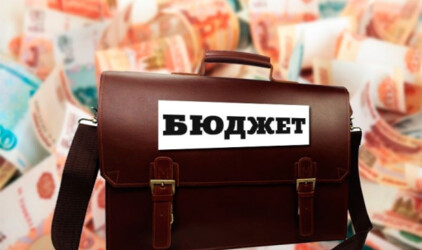 Малков: Рязанская область смогла сохранить устойчивый бюджет