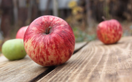 В Рязани подешевели яблоки и помидоры