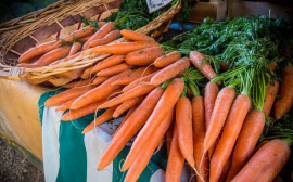 В Рязани подешевели морковь и капуста