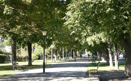 В Рязани сквер на Трудовой благоустроят за 2,5 млн рублей