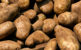 В Рязани на ярмарках выходного дня продали 2,5 тонны картофеля