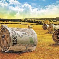 Аграрии Рязанской области получили cубсидии