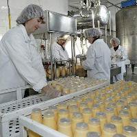 Инвестиционные проекты успешно реализуются в молочной отрасли