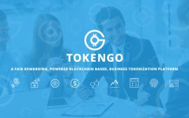 Особенности блокчейн проектов на примере TokenGO