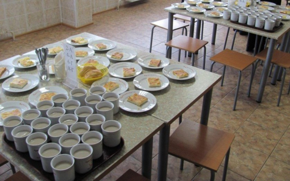 Рязанские школьники, обучающиеся на дому, будут обеспечены питанием за счёт области