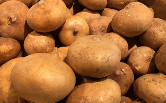 В Рязани за неделю подешевели картофель и лук