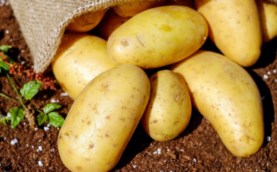 В Рязани картофель подорожал на 11,4%