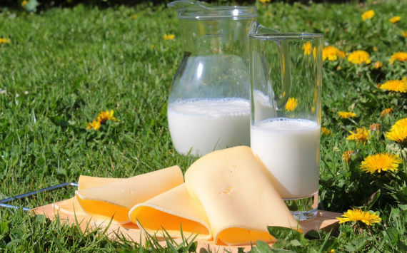 Рекордное производство сдерживает цены на молочные продукты
