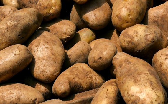 В Рязани на ярмарках выходного дня продали 2,5 тонны картофеля