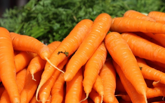 В Рязани подорожали картофель и морковь