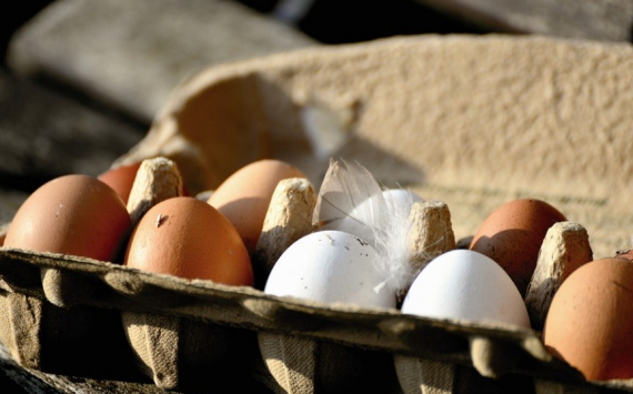 В Рязанской области производство яиц выросло на 3,8%