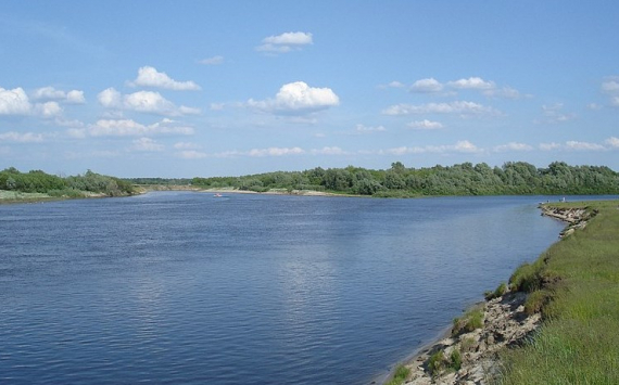 Рязанская область получит более 41 млн рублей на укрепление берега реки Мокша