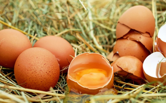 Власти Рязанской области объяснили повышение цен на яйца