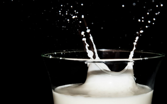 Рязанская область наладила экспорт молока в Грузию