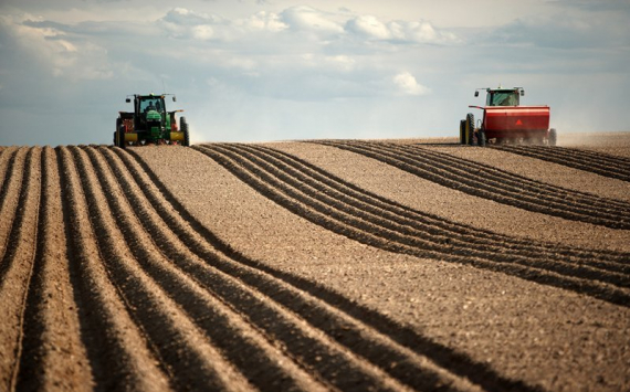 Более миллиона гектаров рязанских сельскохозяйственных земель приходятся на кислые почвы